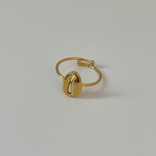 Shelly Ring